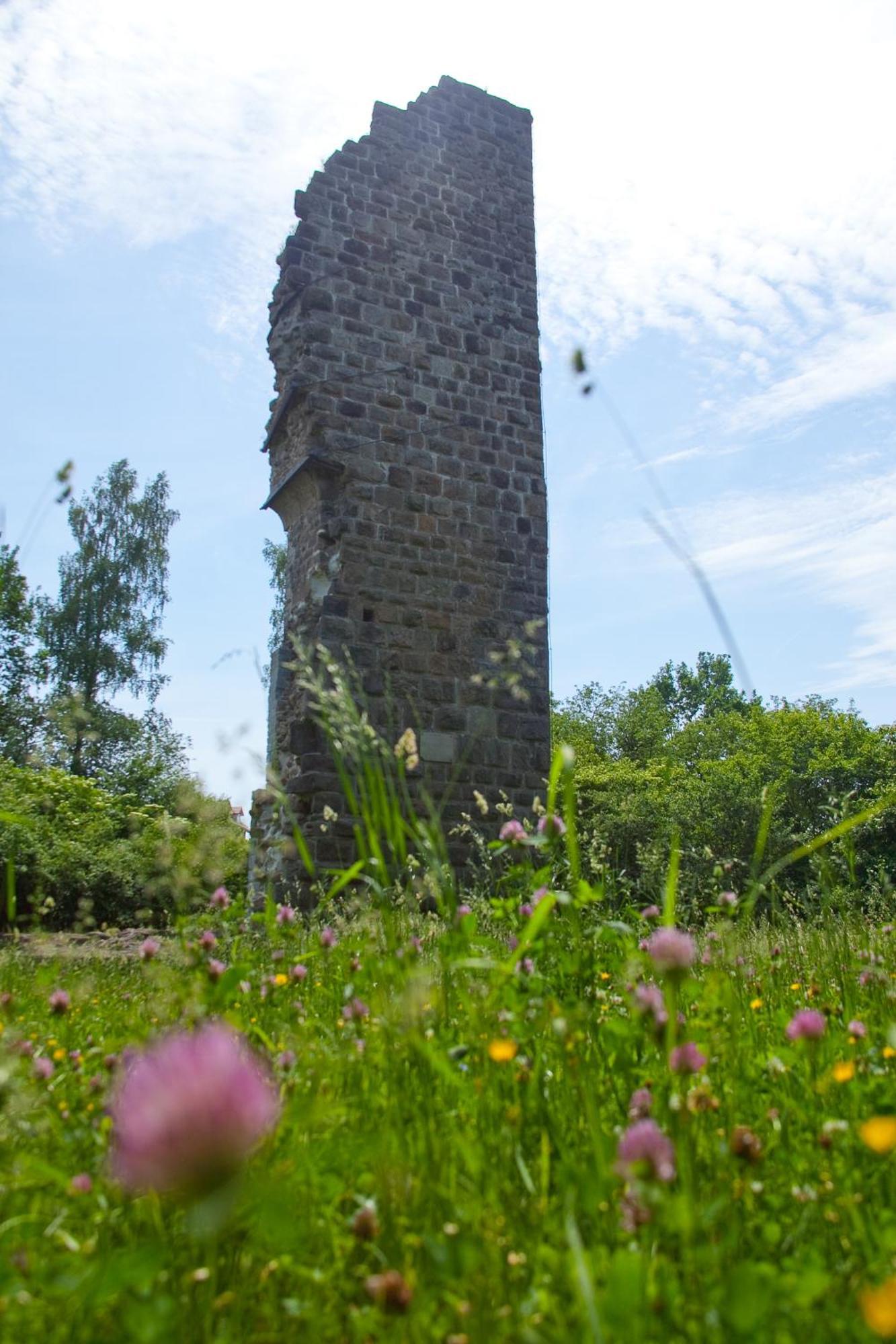Gasthaus Am Oedenturm Chammünster Kültér fotó